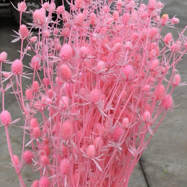 微信图片_20180626132052_副本