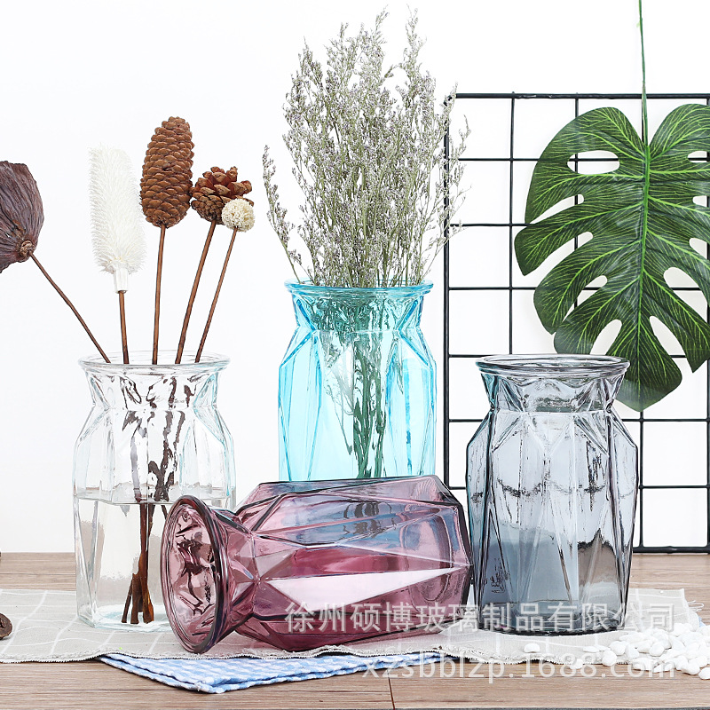 新款玻璃花瓶 彩色干花花瓶 家居饰品摆件 客厅创意透明水培花瓶
