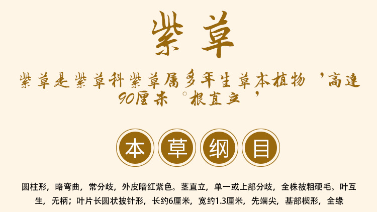 Zi Cao Root (Lithospermum erythrorhizon) — Xinjiang Grown Dried Gromwell Root, 500g overview