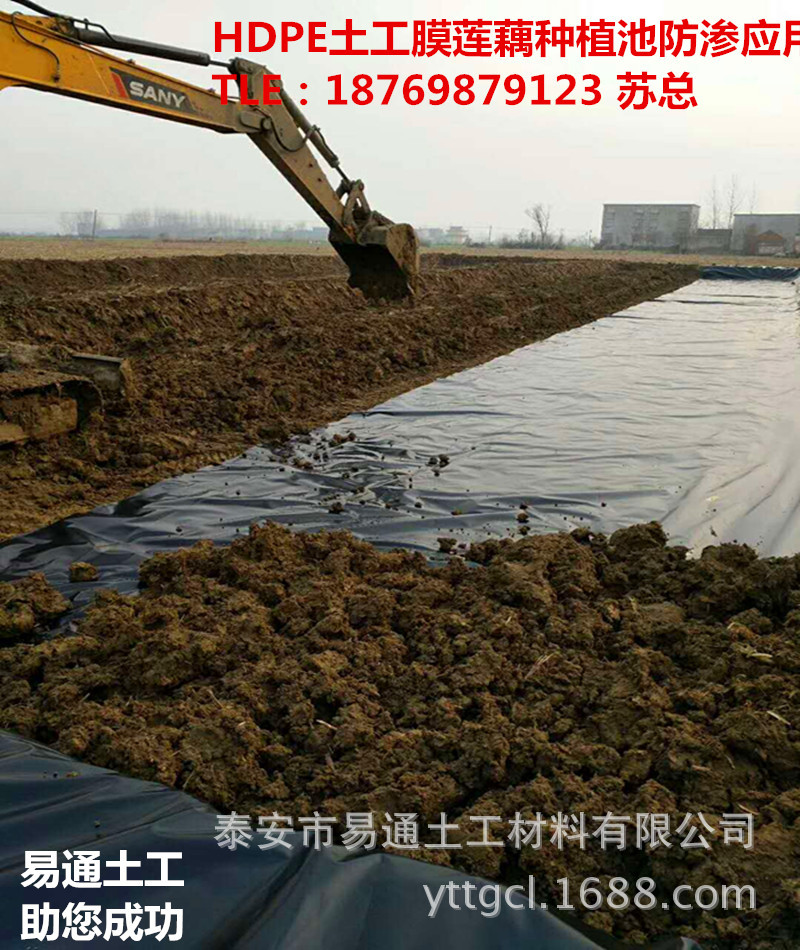 土工膜藕池应用