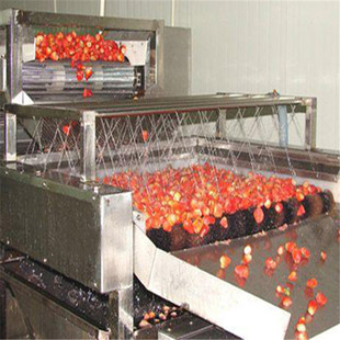 ����ˮԡʽ��ݮ��ϴ�C �o�p�� ����ϴ���C  ������ӹ������O��