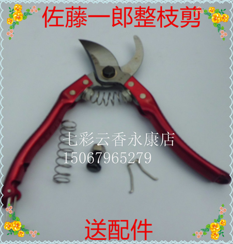 枝剪修枝剪园艺剪刀整枝花枝剪树枝摘果剪园林工具粗枝花木