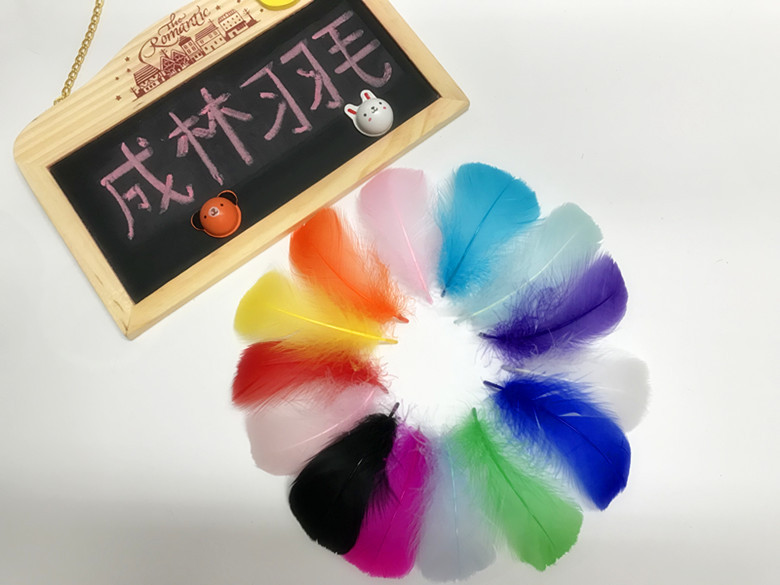 IMG_6056(20180423-145616)_副本