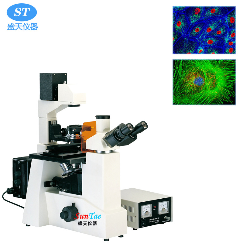 科研级倒置荧光显微镜IFM-1四组波段激发 细胞组织观察分析 400倍