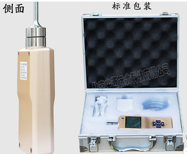 臭味检测仪/臭味臭气浓度检测仪 型号:VG36-XLA-BX