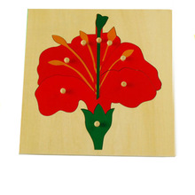 蒙氏教具国际版动植物嵌板拼图蒙台梭利木制儿童玩具益智玩具