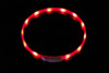 Pet supplies dog light emitting collar USB charging LED neck ring teddy golden hair large, medium -sized dog night light collar