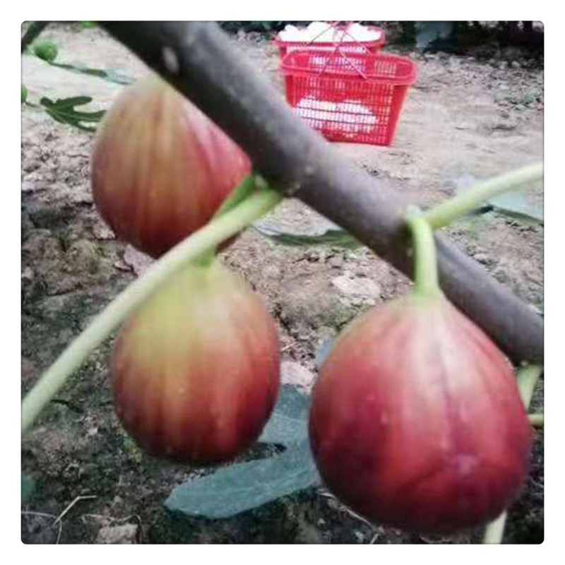 58d37959e6a932c18f0bb941d2d610