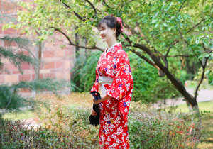 Wholesale Japanese Red Cherry kimono