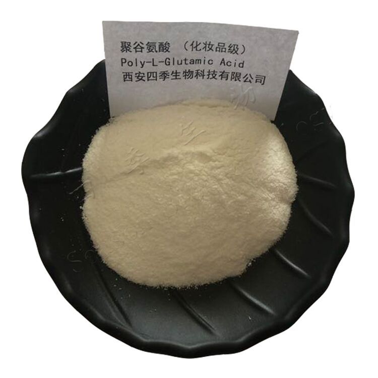 聚谷氨酸 γ-PGA 优质化妆品原料 厂家直销 四季生物