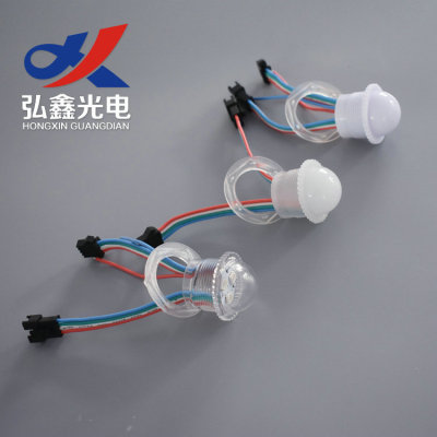 LED圣诞装饰灯D26多种内置5050 DC12V 全彩幻彩 控制像素灯