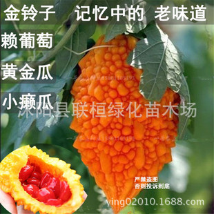 ˮ��С�]�ϷN�ӽ����ه����ه��ˮ���N���ļ��̨�羳����С���b