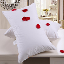 �Ǽ��Ƶ겼���e�^������Ʒ���^ �S�����l���|��ܛ��z�q��о