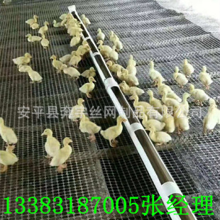 ���׺�ɫ�Bֳ���z���ھW ���Ϸ���W �������ϾW Ҏ���Rȫ�ɶ���