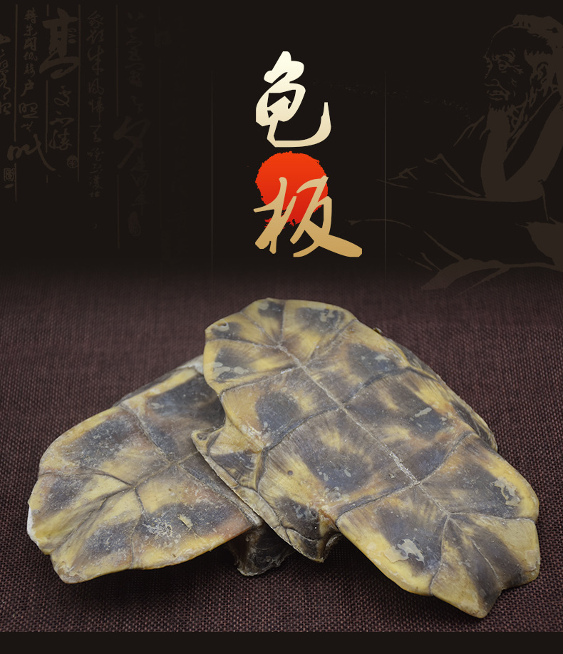 Gui Ban (Plastrum Testudinis) — Dried Turtle Shell Pieces, Whole 500g, Zhejiang Origin overview