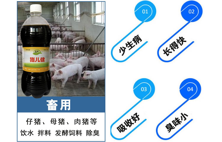 畜用益生菌除臭液