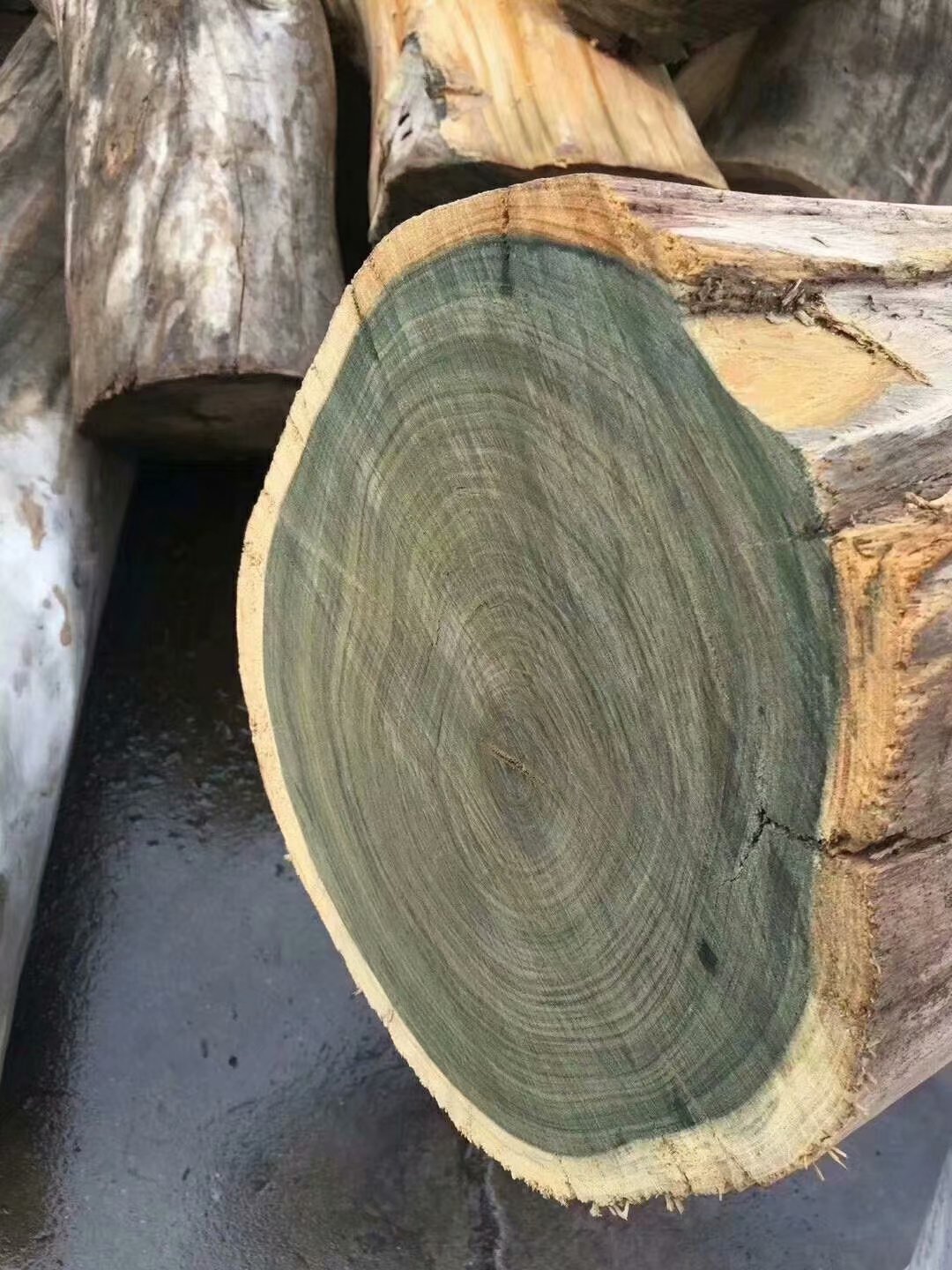 进 口阿根廷绿檀原木木料 绿檀原木板材家具料 刺猬紫檀-阿里巴巴