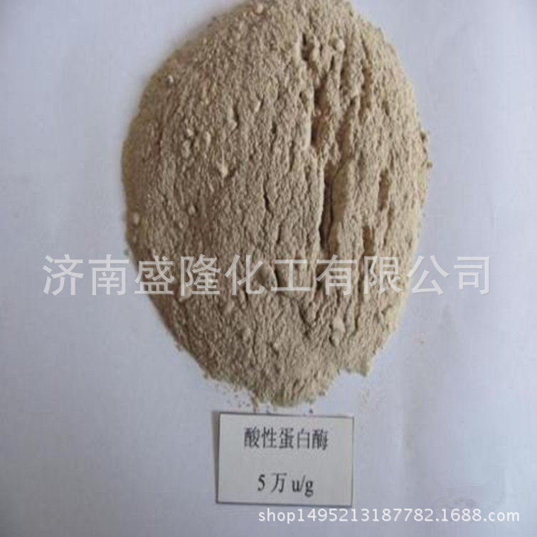 现货供应 碱性蛋白酶 红绿蓝三色齐全 洗衣粉用碱性蛋白酶