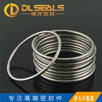 DLSEALS High temperature resistance Vulcanizing machine Metal 316 Stainless steel hollow O-ring inflation vacuum Metal O-ring