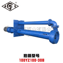 100YZ100-30BʽҺ۱üཬ