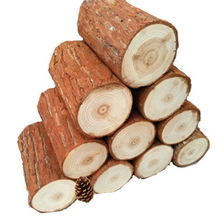 ��ľ�䘶 ɼľľ�� ��cľ�� ɼ��[�� �����o���b�ľ�� ���