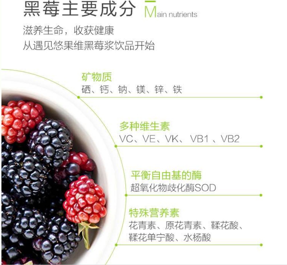 黑莓主要成分