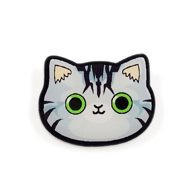 Cartoon Style Animal Arylic Plating Unisex Brooches display picture 4