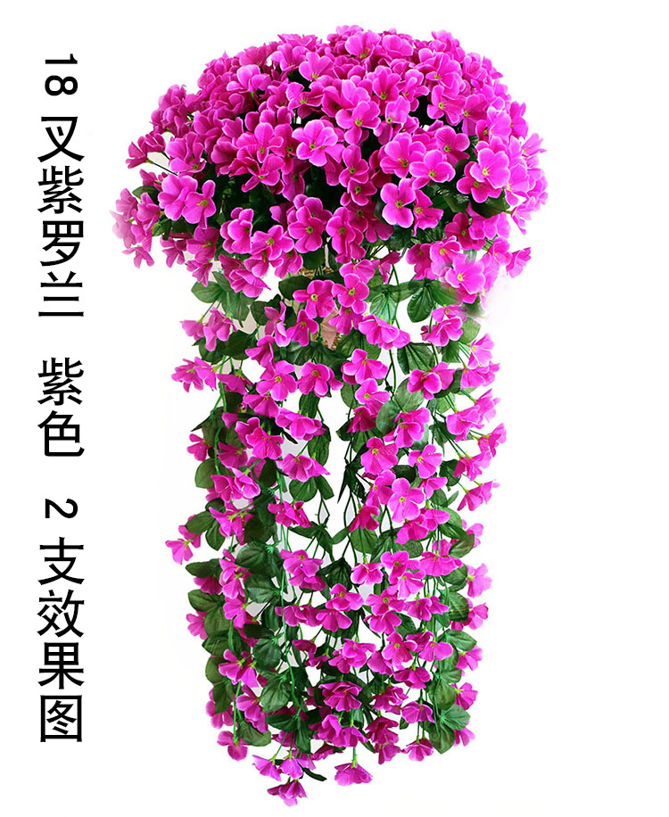 18叉紫罗兰 紫色