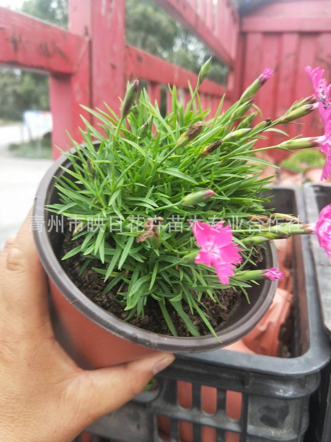 DKD_E5A~W_@~OQ)28R}D[`1