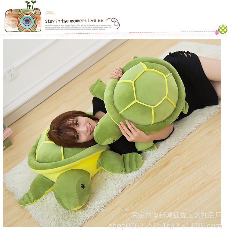Plüschschildkröte als Rückenstütze