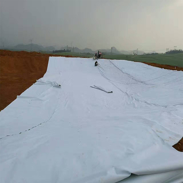 屋顶花园防水材料土工膜防渗膜黑色300克500克600克藕池鱼池防水