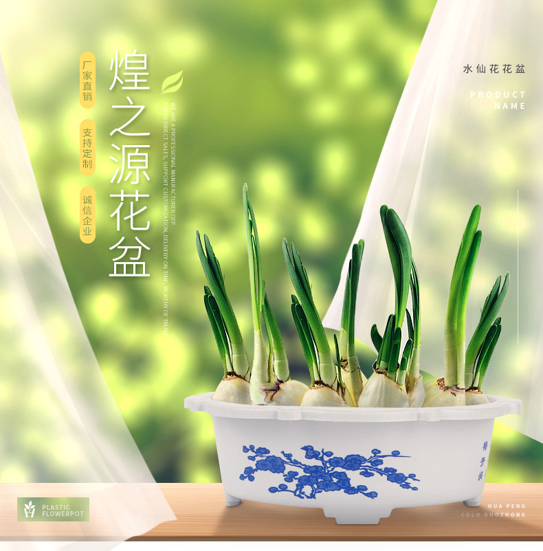 14-水仙花花盆_02.jpg