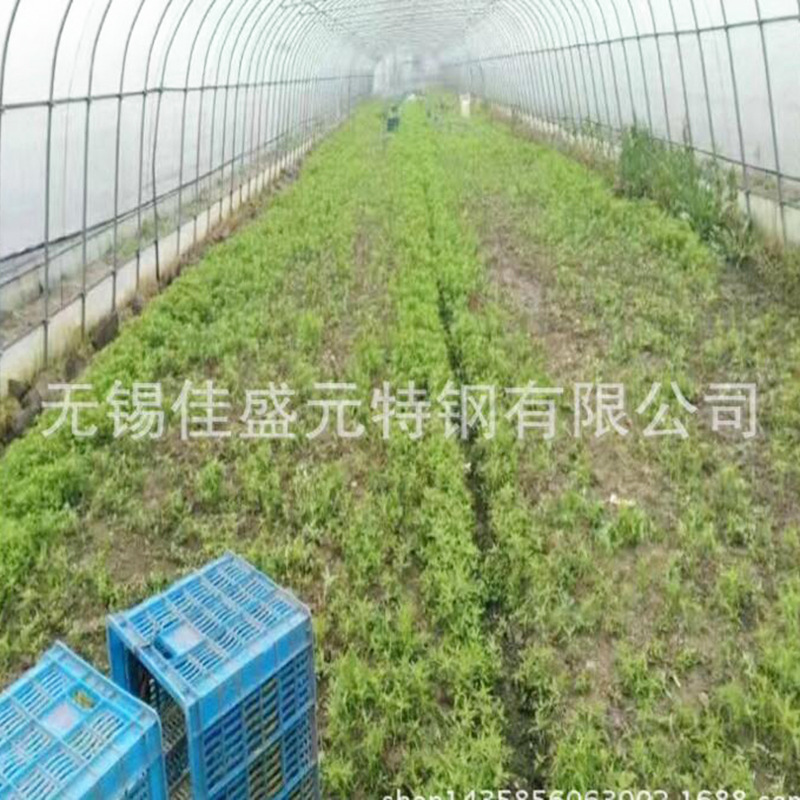 推荐蔬菜大棚镀锌管方管精密无缝管镀锌焊管单体连体大棚骨架钢管