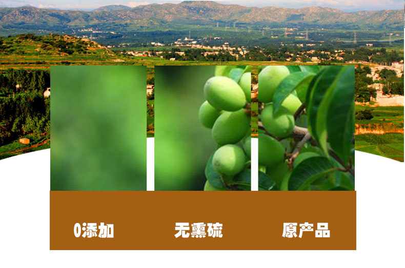 Xi Qing Guo (Terminalia chebula) — Tibetan Dried Food Herb, Sulfur-Free, 500g quality and texture