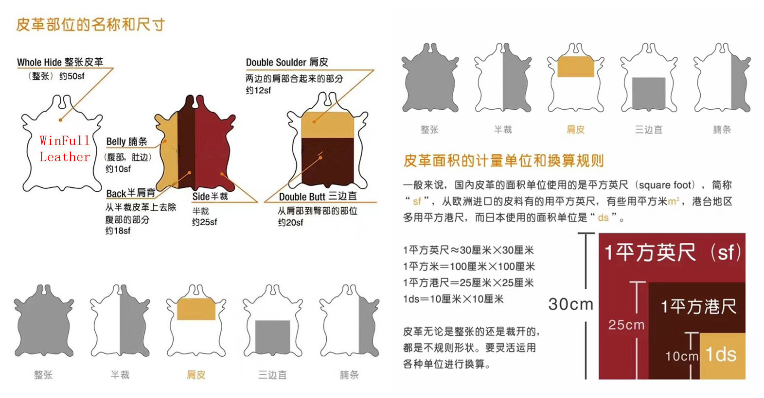 皮革部位及尺寸