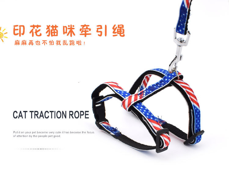 6147822498_1300616989