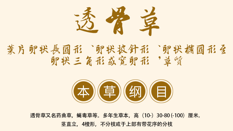 Tou Gu Cao (Impatiens balsamina) — Dried Fengxian Herbal Pieces for External Herbal Use overview