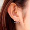 Fashionable accessory, crystal, earrings, zirconium, Korean style, wholesale