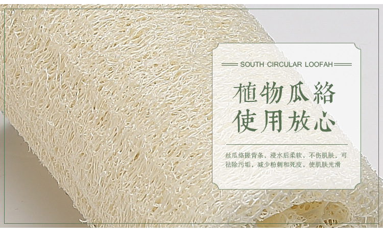 loofah sponge