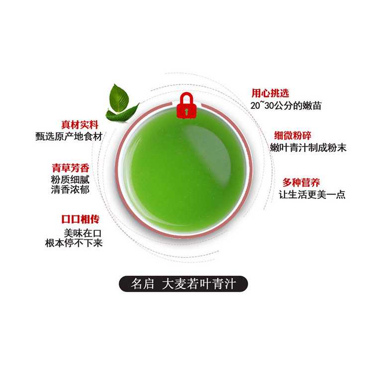 Barley Wakaba Green juice powder Alkaline Barley flour Meal replacement powder 800 Enzyme powder OEM Processing Purple flour