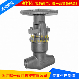 �䓸߉������ܷ≺���Ծoʽ�ԉ��ܷ�A105�в庸�l�yPZ61Y-2500LB