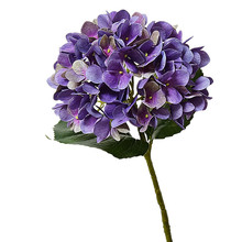 S֦3dҾӲ ӡˢܛb[zӰdiy滨