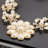 Fashionable short chain for key bag  from pearl, necklace, clothing, accessory, pendant, flowered, European style