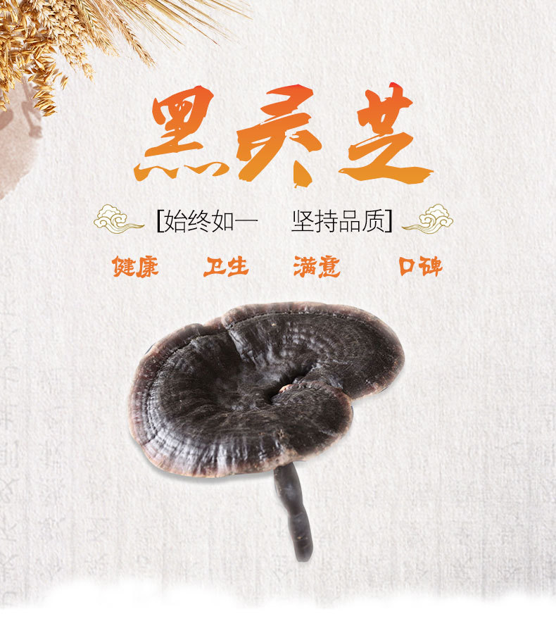 Black Reishi Mushroom (Ganoderma sinense) — Dried Whole Herb for Wine Infusion & Soup key features