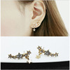 Silver accessory, shiny earrings, wholesale, diamond encrusted