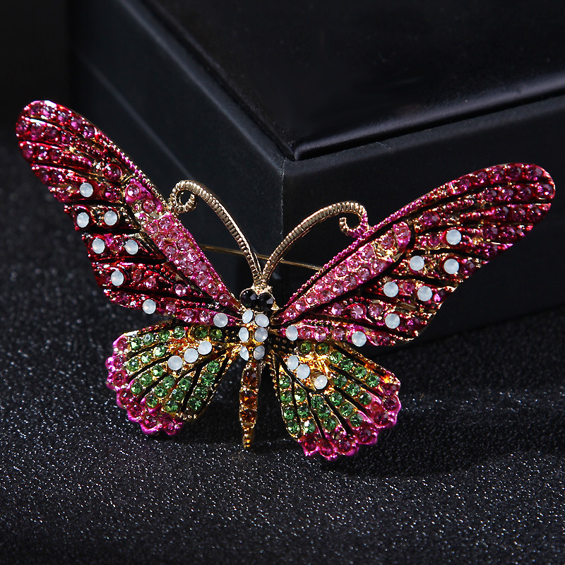 Mode Papillon Alliage Incruster Strass Femmes Broches display picture 17