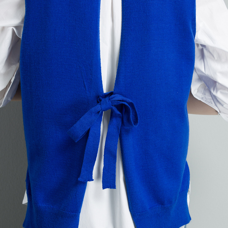 Gilet femme YAQI en Tricot - Ref 3316484 Image 3