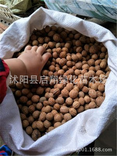 �²�ë�ҷN�� ë�Һ� ���� �����Һ� �Ҙ�� �Ҙ�N��