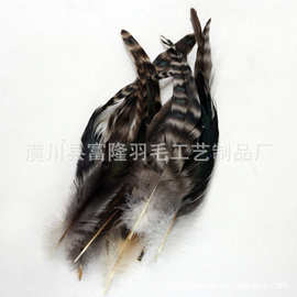 供应单根芦花鸡毛DIY羽毛饰品配件舞台装饰演出舞会花羽毛批发