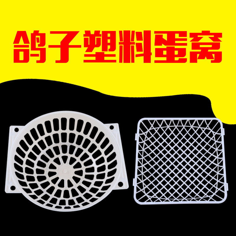 鸽笼用蛋窝 方形蛋窝 优质白色纯料方形蛋筐 塑料鸽窝 厂家直供